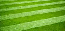Greater Lansing Landscaping Company