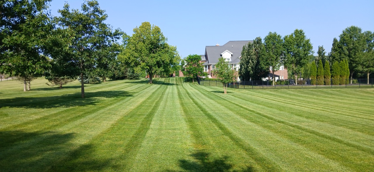 Residential Landscaping Company Near Me