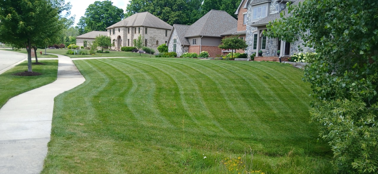 Residential Landscaping Company Near Me