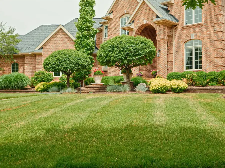 Residential Landscaping Company Near Me